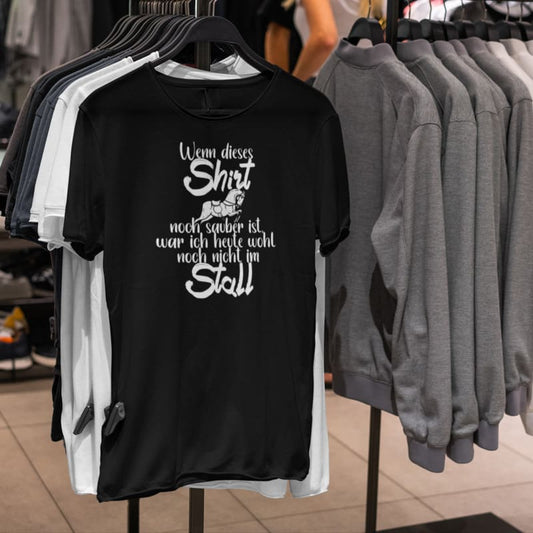 Wenn dieses Shirt noch sauber ist, war ich heute wohl noch nicht im Stall - Damenshirt